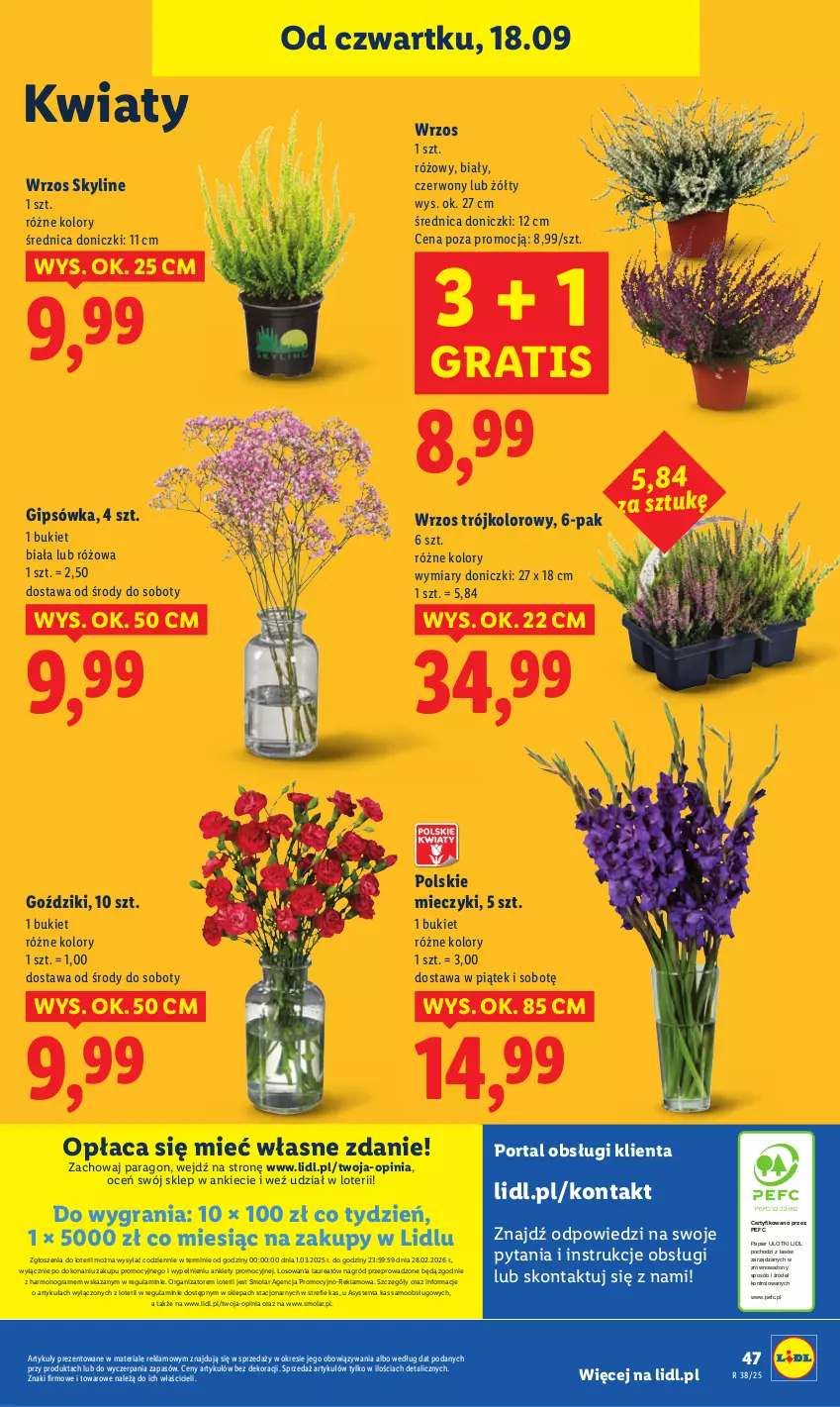Gazetka promocyjna Lidl - GAZETKA - ważna 18.09 do 20.09.2025 - strona 55 - produkty: Bukiet, Gra, Laur, Miecz, Mola, Papier, Por, Portal