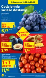 Gazetka promocyjna Lidl - GAZETKA - Gazetka - ważna od 20.09 do 20.09.2025 - strona 20 - produkty: Gra, Winogrona, Wino, Pomidory, Imbir