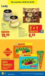 Gazetka promocyjna Lidl - GAZETKA - Gazetka - ważna od 20.09 do 20.09.2025 - strona 42 - produkty: Gra, Kaktus, Lody