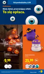 Gazetka promocyjna Lidl - GAZETKA - Gazetka - ważna od 11.10 do 11.10.2025 - strona 27 - produkty: Ivar