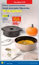 Gazetka promocyjna Lidl - GAZETKA - Gazetka - ważna od 11.10 do 11.10.2025 - strona 48 - produkty: Garnek, Kuchnia
