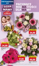 Gazetka promocyjna Lidl - GAZETKA - Gazetka - ważna od 28.05 do 28.05.2025 - strona 10 - produkty: Piwo, Gerber, Bukiet