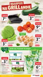 Gazetka promocyjna Intermarche - Gazetka Intermarche - Gazetka - ważna od 09.07 do 09.07.2025 - strona 9 - produkty: Cebula, Por, Sałata lodowa, Sałat, Bazyl, Bazylia, Mięta, Szpinak