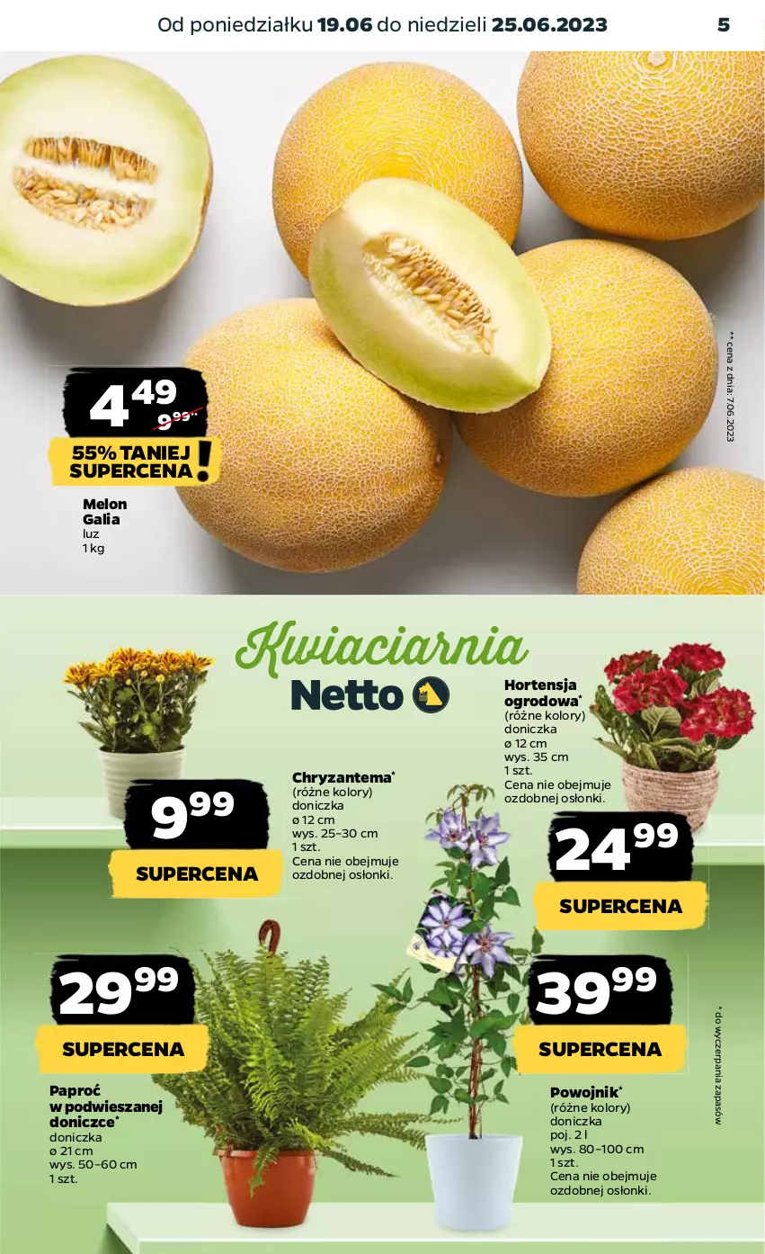 Gazetka promocyjna Netto - Artykuły spożywcze - ważna 19.06 do 25.06.2023 - strona 5 - produkty: Chryzantema, Melon