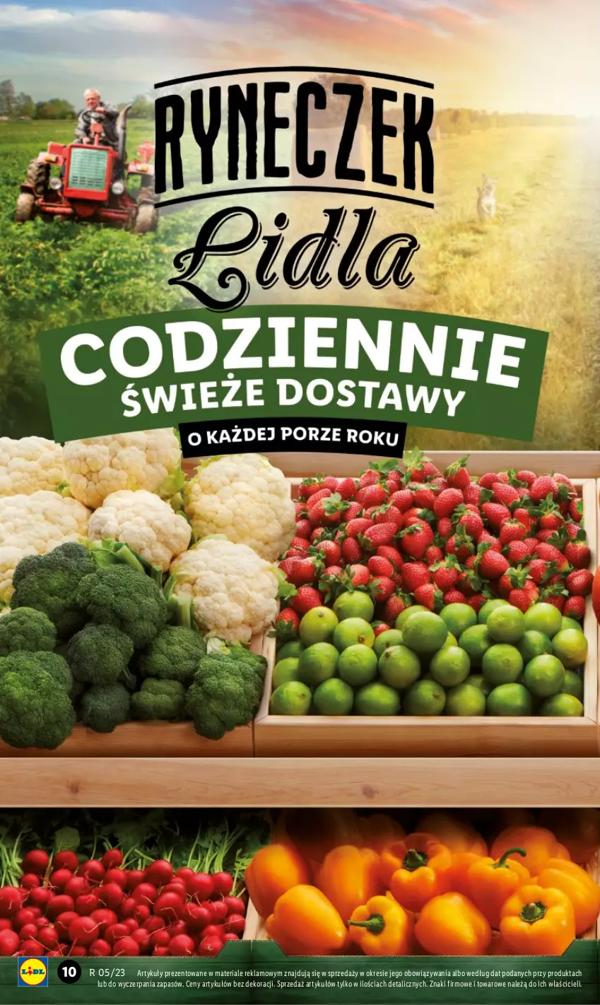 Gazetka promocyjna Lidl - GAZETKA - ważna 02.02 do 04.02.2023 - strona 10