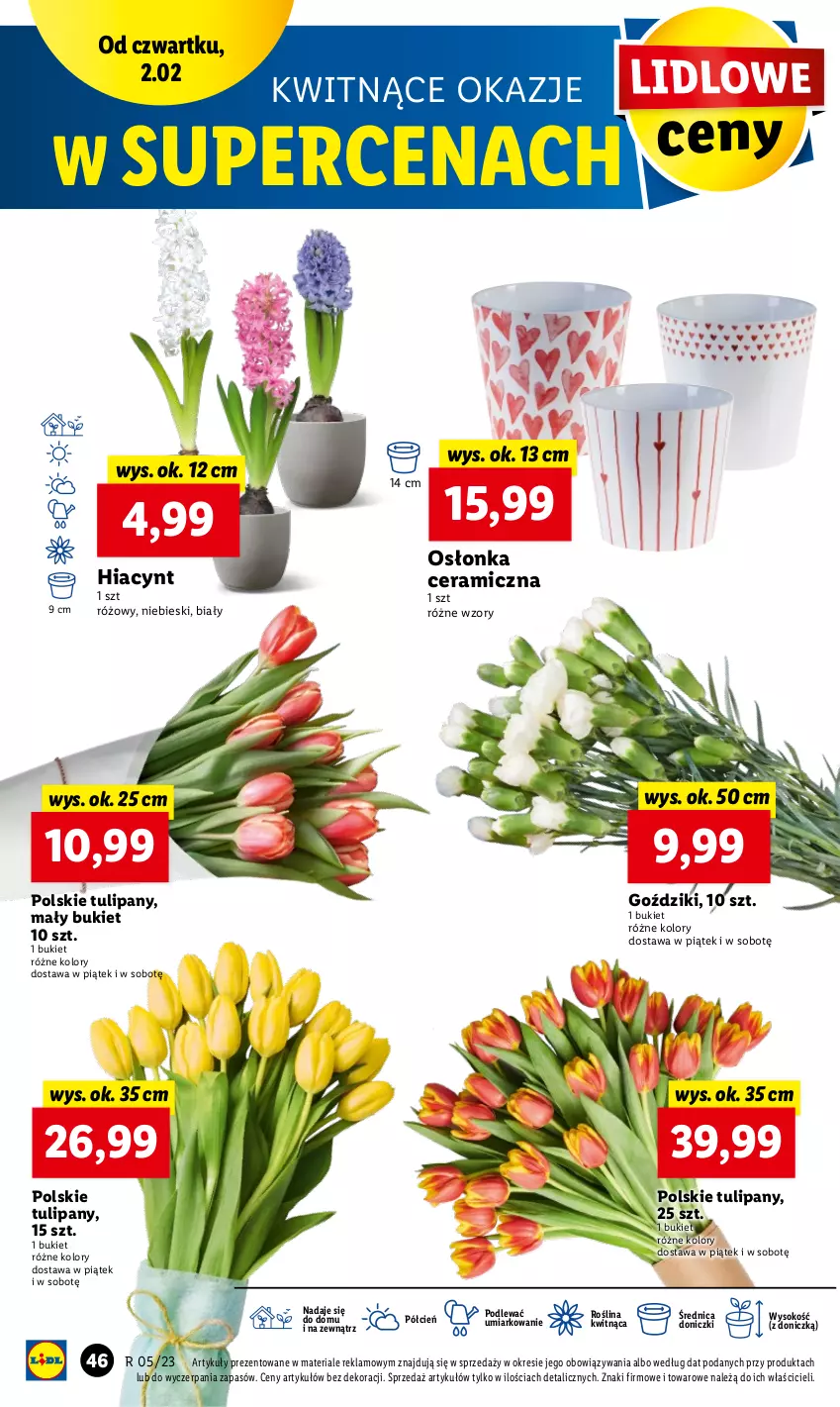 Gazetka promocyjna Lidl - GAZETKA - ważna 02.02 do 04.02.2023 - strona 52 - produkty: Bukiet, Cień, Hiacynt, Osłonka, Sok, Tulipan