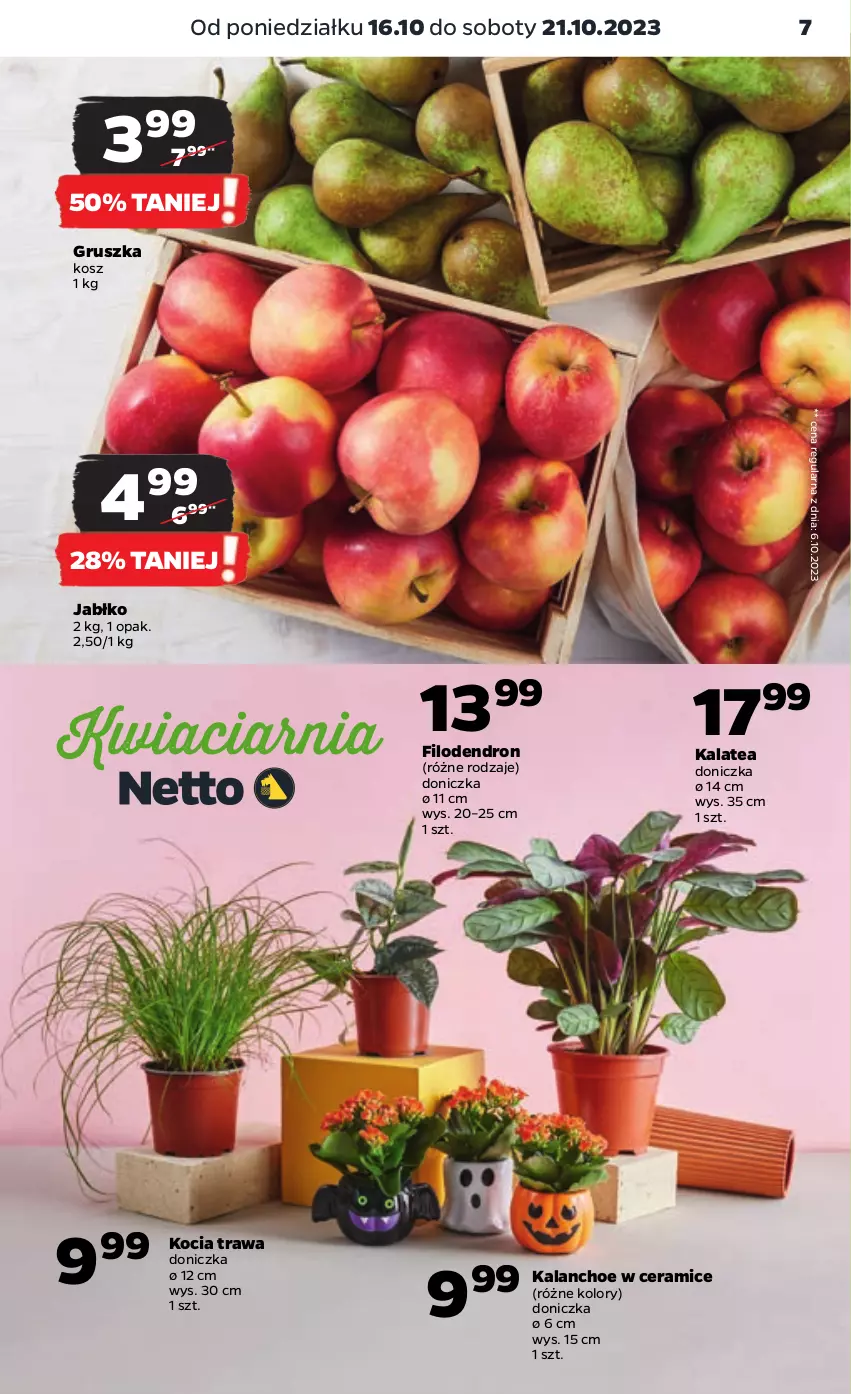 Gazetka promocyjna Netto - Artykuły spożywcze - ważna 16.10 do 21.10.2023 - strona 7 - produkty: Dron, Kalanchoe, Koc, Kocia trawa, Kosz