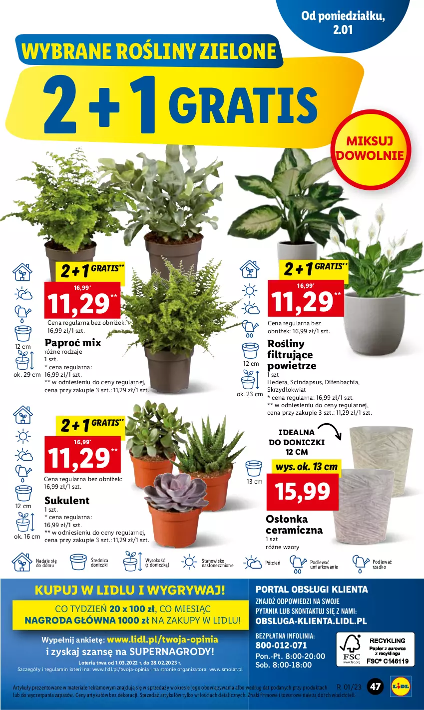 Gazetka promocyjna Lidl - GAZETKA - ważna 02.01 do 04.01.2023 - strona 53 - produkty: Chia, Cień, Gra, Gry, Mola, NBA, O nas, Osłonka, Sok, Sukulent