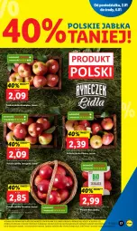 Gazetka promocyjna Lidl - GAZETKA - Gazetka - ważna od 04.01 do 04.01.2023 - strona 17 - produkty: Jonagold, Szampion, Jabłka