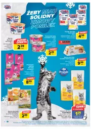 Gazetka promocyjna Carrefour - Gazetka Zima z pupilem - Gazetka - ważna od 11.02 do 11.02.2023 - strona 4 - produkty: Mus, Iams, Vitakraft