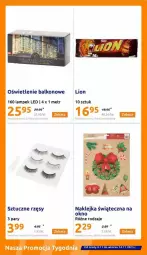 Gazetka promocyjna  - Gazetka - ważna od 14.11 do 14.11.2023 - strona 10 - produkty: Klej, Lion, Sztuczne rzęsy, Okno