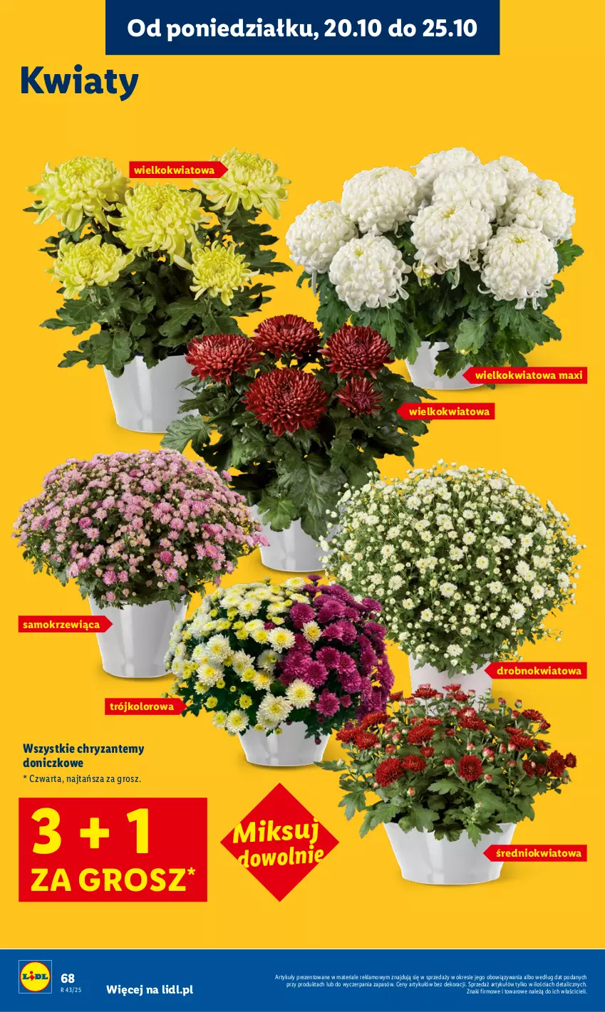 Gazetka promocyjna Lidl - GAZETKA - ważna 20.10 do 22.10.2025 - strona 68