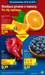 Gazetka promocyjna Lidl - GAZETKA - Gazetka - ważna od 22.10 do 22.10.2025 - strona 19 - produkty: Ser, Gra, Granat, Pomarańcze, Deser