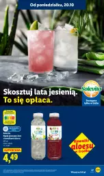Gazetka promocyjna Lidl - GAZETKA - Gazetka - ważna od 22.10 do 22.10.2025 - strona 47 - produkty: Kawa, Kosz, Wazon, Napój
