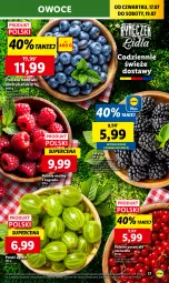 Gazetka promocyjna Lidl - GAZETKA - Gazetka - ważna od 19.07 do 19.07.2025 - strona 19 - produkty: Por, Jeżyny, Porzeczki czerwone, Maliny, Owoce, Gres