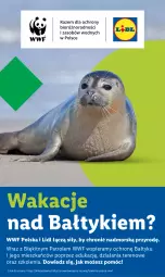 Gazetka promocyjna Lidl - GAZETKA - Gazetka - ważna od 19.07 do 19.07.2025 - strona 60 - produkty: Wazon