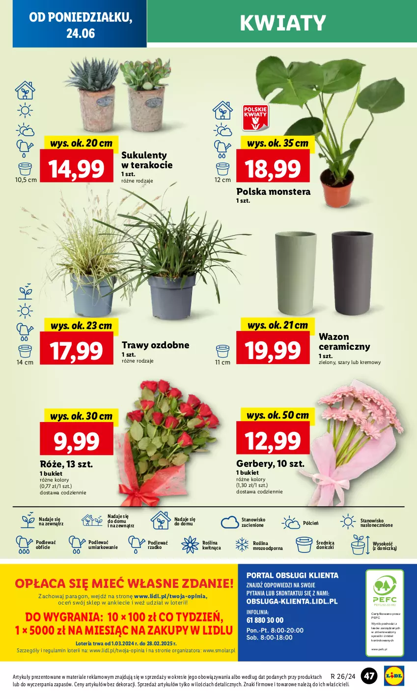 Gazetka promocyjna Lidl - GAZETKA - ważna 24.06 do 26.06.2024 - strona 50 - produkty: Bukiet, Cień, Gerber, Gra, Koc, Mola, O nas, Por, Sok, Sukulent, Tera, Wazon