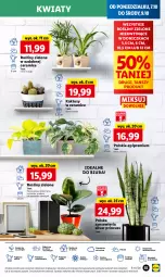 Gazetka promocyjna Lidl - GAZETKA - Gazetka - ważna od 09.10 do 09.10.2024 - strona 63 - produkty: Sok, Por, Kaktus, Cień, O nas