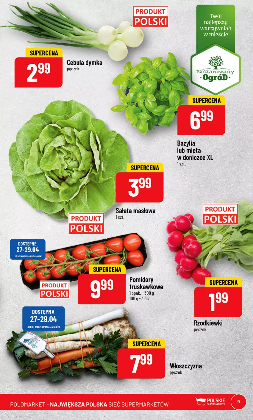 Gazetka promocyjna PoloMarket - Gazetka pomocyjna - ważna 26.04 do 02.05.2023 - strona 9 - produkty: Bazyl, Bazylia, Cebula, Masło, Mięta, Ogród, Pomidory, Sałat, Sałata masłowa, Włoszczyzna pęczek