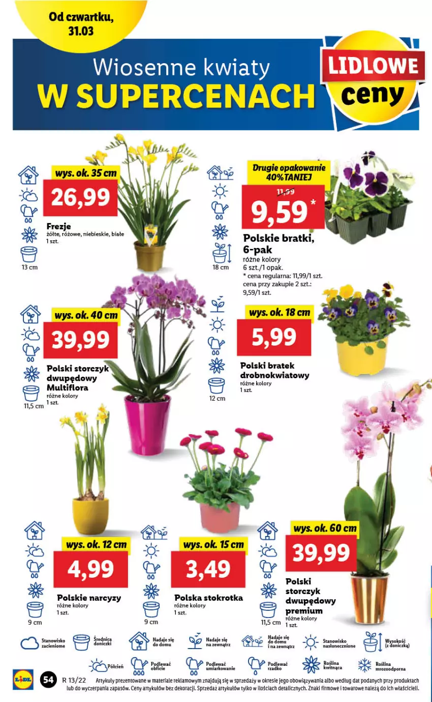 Gazetka promocyjna Lidl - GAZETKA - ważna 31.03 do 03.04.2022 - strona 54 - produkty: Flora, Narcyz, Por, Storczyk