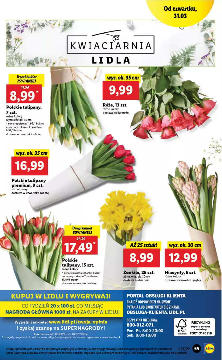 Gazetka promocyjna Lidl - GAZETKA - ważna 31.03 do 03.04.2022 - strona 55 - produkty: Bukiet, Gry, Hiacynt, Mola, Sok, Tulipan