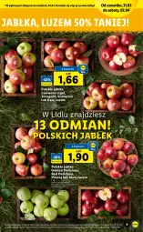 Gazetka promocyjna Lidl - GAZETKA - Gazetka - ważna od 03.04 do 03.04.2022 - strona 9 - produkty: Jonagold, Szampion, Gala, Ligol, Jabłka