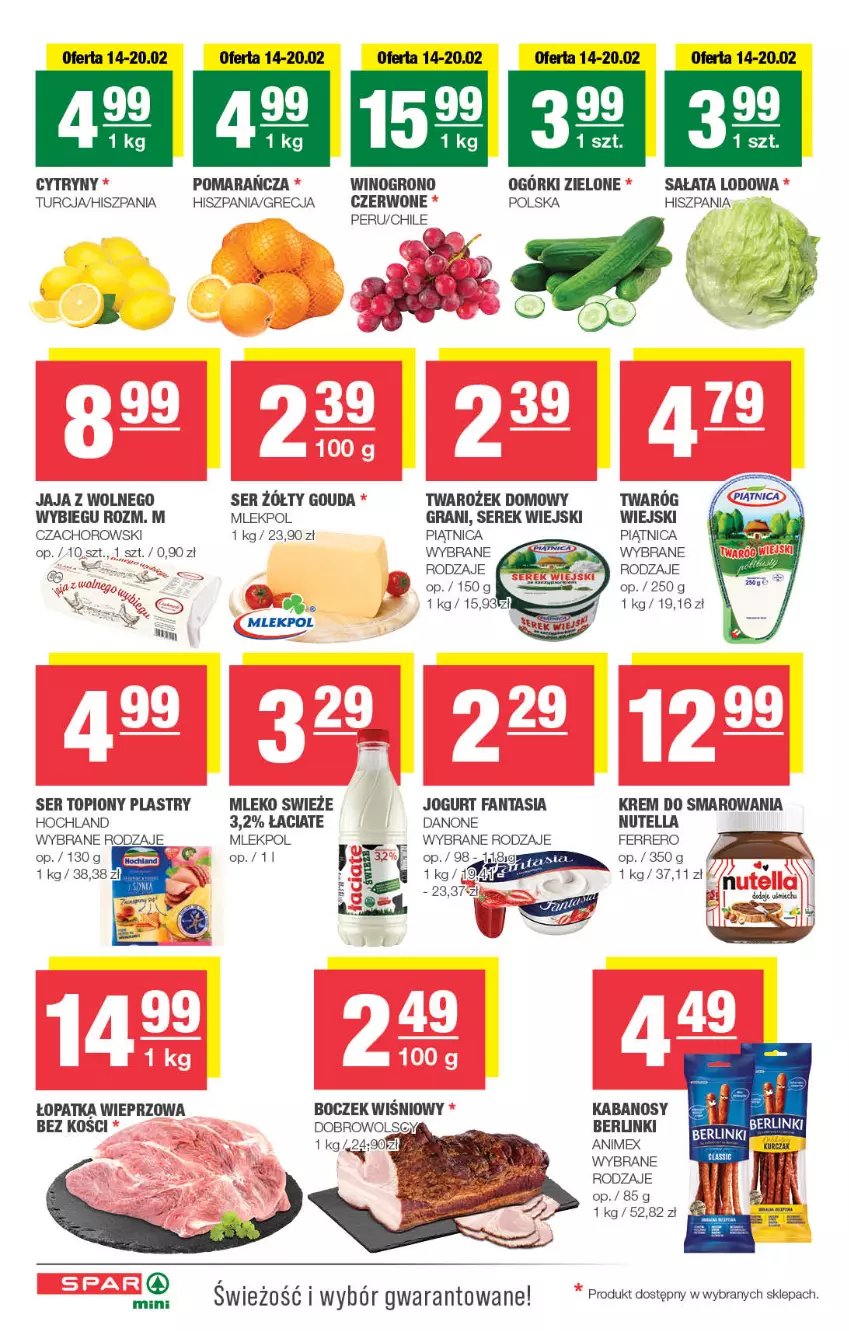 Gazetka promocyjna Spar - Spar-Mini - ważna 11.02 do 21.02.2024 - strona 2 - produkty: Berlinki, Boczek, Cytryny, Danone, Fa, Fanta, Gouda, Gra, Hochland, Jaja, Jogurt, Kabanos, Mleko, Nutella, Piątnica, Sałat, Sałata lodowa, Ser, Ser topiony, Serek, Serek wiejski, Top, Wino