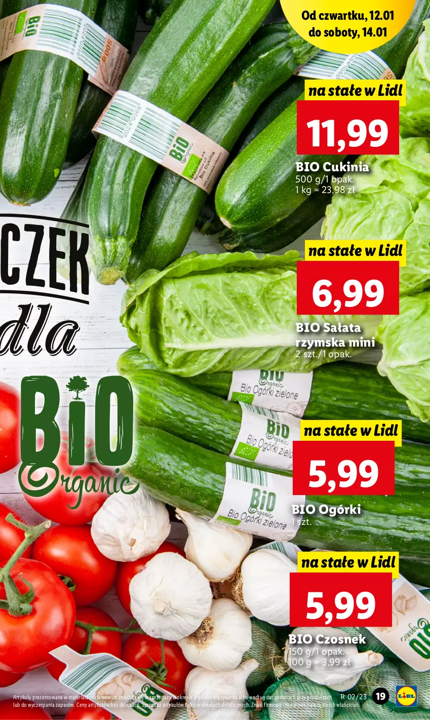 Gazetka promocyjna Lidl - GAZETKA - ważna 12.01 do 14.01.2023 - strona 19 - produkty: Czosnek, Sałat