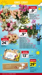 Gazetka promocyjna Intermarche - Gazetka Intermarche - Gazetka - ważna od 26.06 do 26.06.2024 - strona 4 - produkty: Gerber, Róża, Kwiaty cięte, Kalanchoe, Storczyk, Czekolada, Bukiet, Lindt