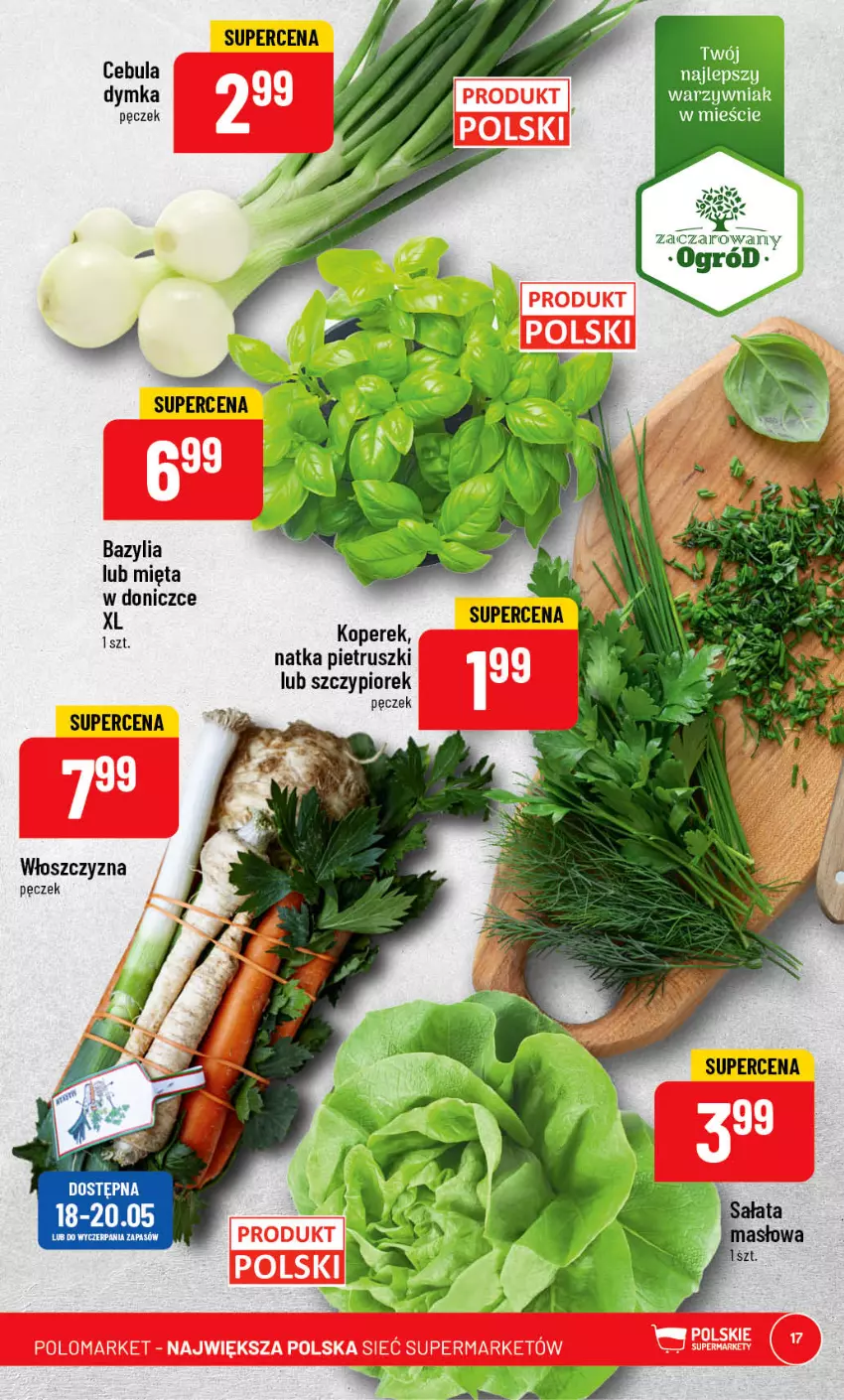 Gazetka promocyjna PoloMarket - Gazetka pomocyjna - ważna 17.05 do 23.05.2023 - strona 17 - produkty: Bazyl, Bazylia, Cebula, Mięta, Natka pietruszki, Ogród