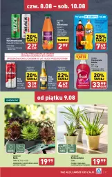 Gazetka promocyjna Aldi - Pełna oferta - Gazetka - ważna od 10.08 do 10.08.2024 - strona 21 - produkty: Piwa, Piwo, Płyn do prania, Sok, Gra, Coca-Cola, Warka, Lack, Corona Extra, Perwoll, Fanta, Sprite, Napój, Fa