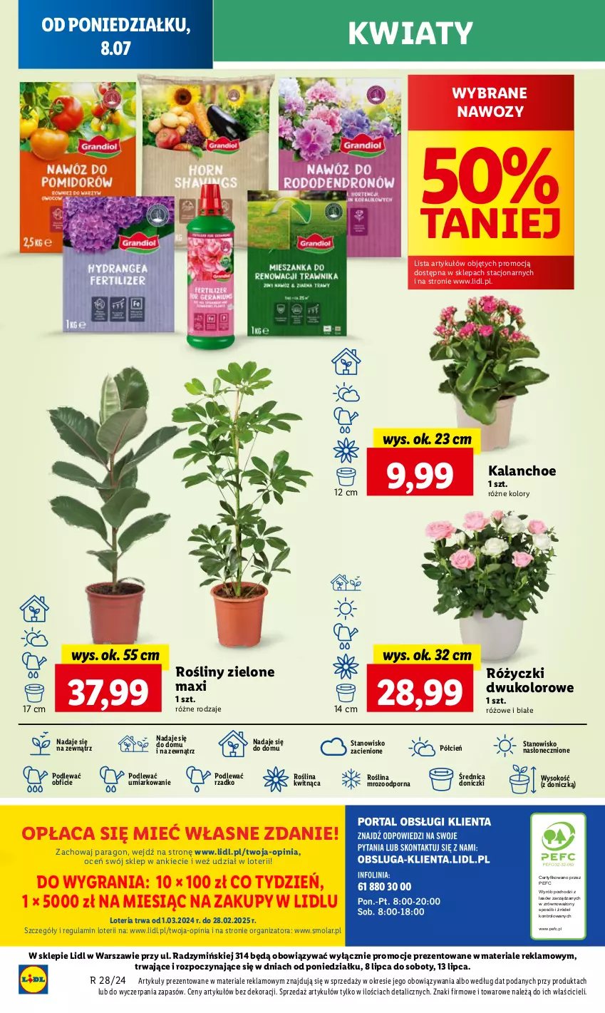 Gazetka promocyjna Lidl - GAZETKA - ważna 08.07 do 10.07.2024 - strona 50 - produkty: Cień, Gra, Kalanchoe, Mola, O nas, Por, Sok