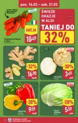 Gazetka promocyjna Aldi - Oferta weekendowa - Gazetka - ważna od 21.02 do 21.02.2026 - strona 10 - produkty: Seler korzeń, Papryka, Pomidory, Imbir