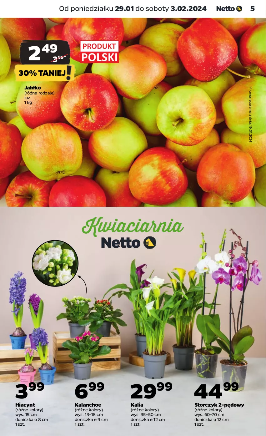 Gazetka promocyjna Netto - Artykuły spożywcze - ważna 29.01 do 03.02.2024 - strona 5 - produkty: Hiacynt, Kalanchoe, Storczyk