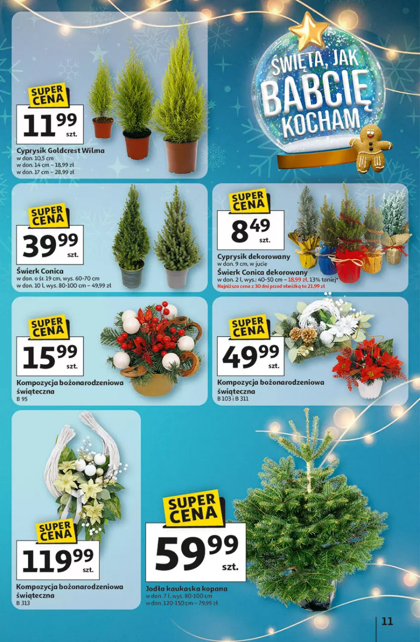 Gazetka promocyjna Auchan - Gazetka Święta jak babcię kocham Hipermarket Auchan - ważna 04.12 do 10.12.2025 - strona 11 - produkty: Cyprysik, Kask