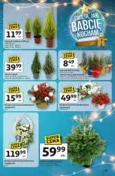 Gazetka promocyjna Auchan - Gazetka Święta jak babcię kocham Hipermarket Auchan - Gazetka - ważna od 10.12 do 10.12.2025 - strona 11 - produkty: Cyprysik, Kask