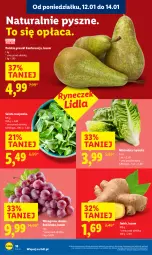 Gazetka promocyjna Lidl - GAZETKA - Gazetka - ważna od 14.01 do 14.01.2026 - strona 18 - produkty: Roszponka, Sałat, Gruszki, Winogrona, Wino, Imbir