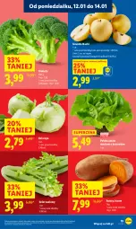 Gazetka promocyjna Lidl - GAZETKA - Gazetka - ważna od 14.01 do 14.01.2026 - strona 19 - produkty: Sałata masłowa, Sałat, Seler naciowy, Brokuły, Masło