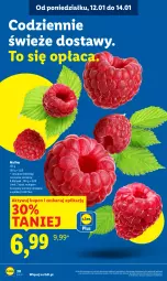 Gazetka promocyjna Lidl - GAZETKA - Gazetka - ważna od 14.01 do 14.01.2026 - strona 20 - produkty: Maliny