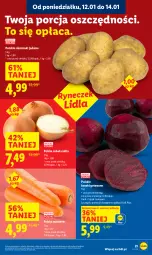 Gazetka promocyjna Lidl - GAZETKA - Gazetka - ważna od 14.01 do 14.01.2026 - strona 21 - produkty: Cebula, Por, Ziemniaki, Buraki