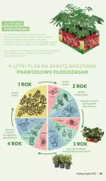 Gazetka promocyjna Lidl - KATALOG OGRÓD - Gazetka - ważna od 28.05 do 28.05.2023 - strona 29 - produkty: Warzywa, Roszponka, Truskawki, Czosnek, Rukola, Ziemniaki, Buraki, Koper włoski, Nawóz, Ogród, Groszek, Szpinak