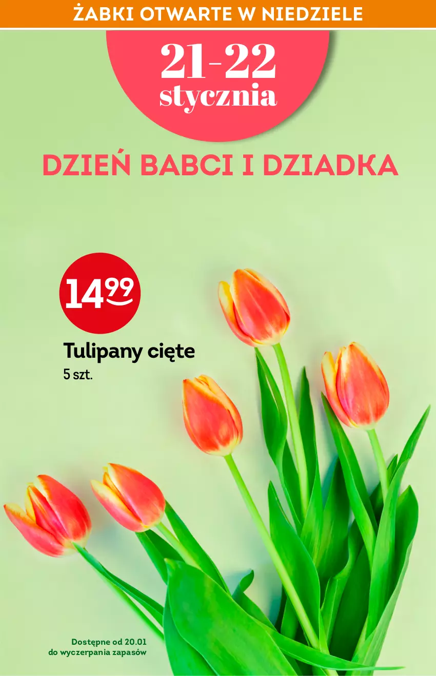 Gazetka promocyjna Żabka - ważna 19.01 do 26.01.2022 - strona 12 - produkty: Tulipan