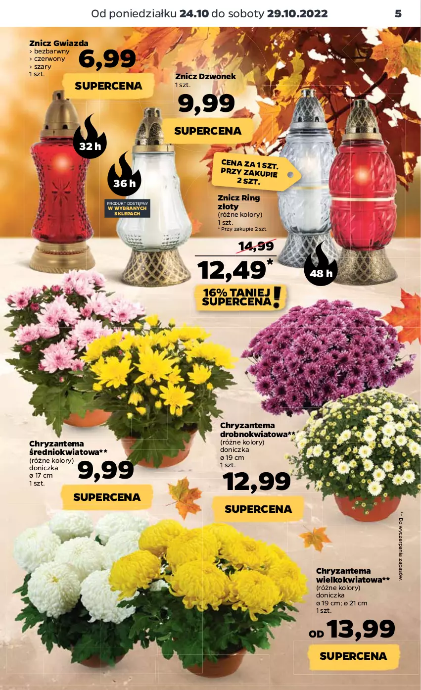 Gazetka promocyjna Netto - Artykuły spożywcze - ważna 24.10 do 29.10.2022 - strona 5 - produkty: Chryzantema, Dzwonek, Gwiazda, Znicz