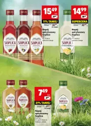 Gazetka promocyjna Delikatesy Centrum - DeliBarek DC22-DC23 - Gazetka - ważna od 08.06 do 08.06.2025 - strona 10 - produkty: Soplica, Napój, Fa