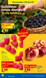 Gazetka promocyjna Lidl - Gazetka ważna od 2.07 do 4.07 - Gazetka - ważna od 04.07 do 04.07.2026 - strona 36 - produkty: Jeżyny, Maliny, Brzoskwinie
