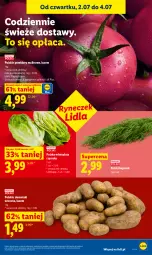 Gazetka promocyjna Lidl - Gazetka ważna od 2.07 do 4.07 - Gazetka - ważna od 04.07 do 04.07.2026 - strona 37 - produkty: Ziemniaki, Sałat, Pomidory