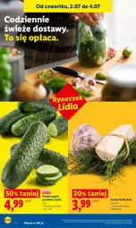 Gazetka promocyjna Lidl - Gazetka ważna od 2.07 do 4.07 - Gazetka - ważna od 04.07 do 04.07.2026 - strona 38 - produkty: Grunt