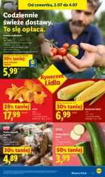 Gazetka promocyjna Lidl - Gazetka ważna od 2.07 do 4.07 - Gazetka - ważna od 04.07 do 04.07.2026 - strona 39 - produkty: Piec, Grill, Pomidory, Kukurydza