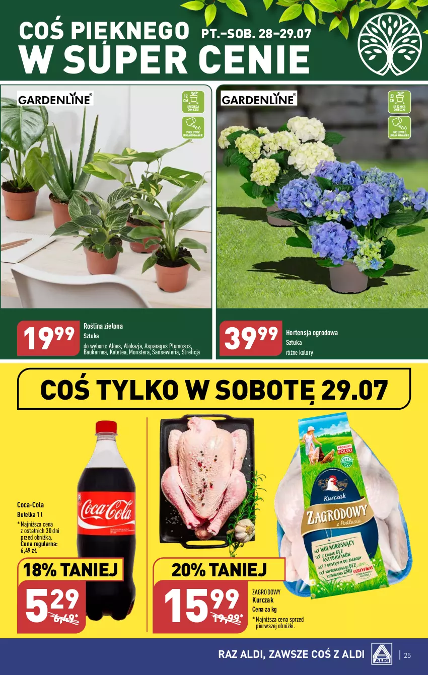 Gazetka promocyjna Aldi - Pełna oferta - ważna 24.07 do 29.07.2023 - strona 25 - produkty: Coca-Cola, Kurczak, Tera