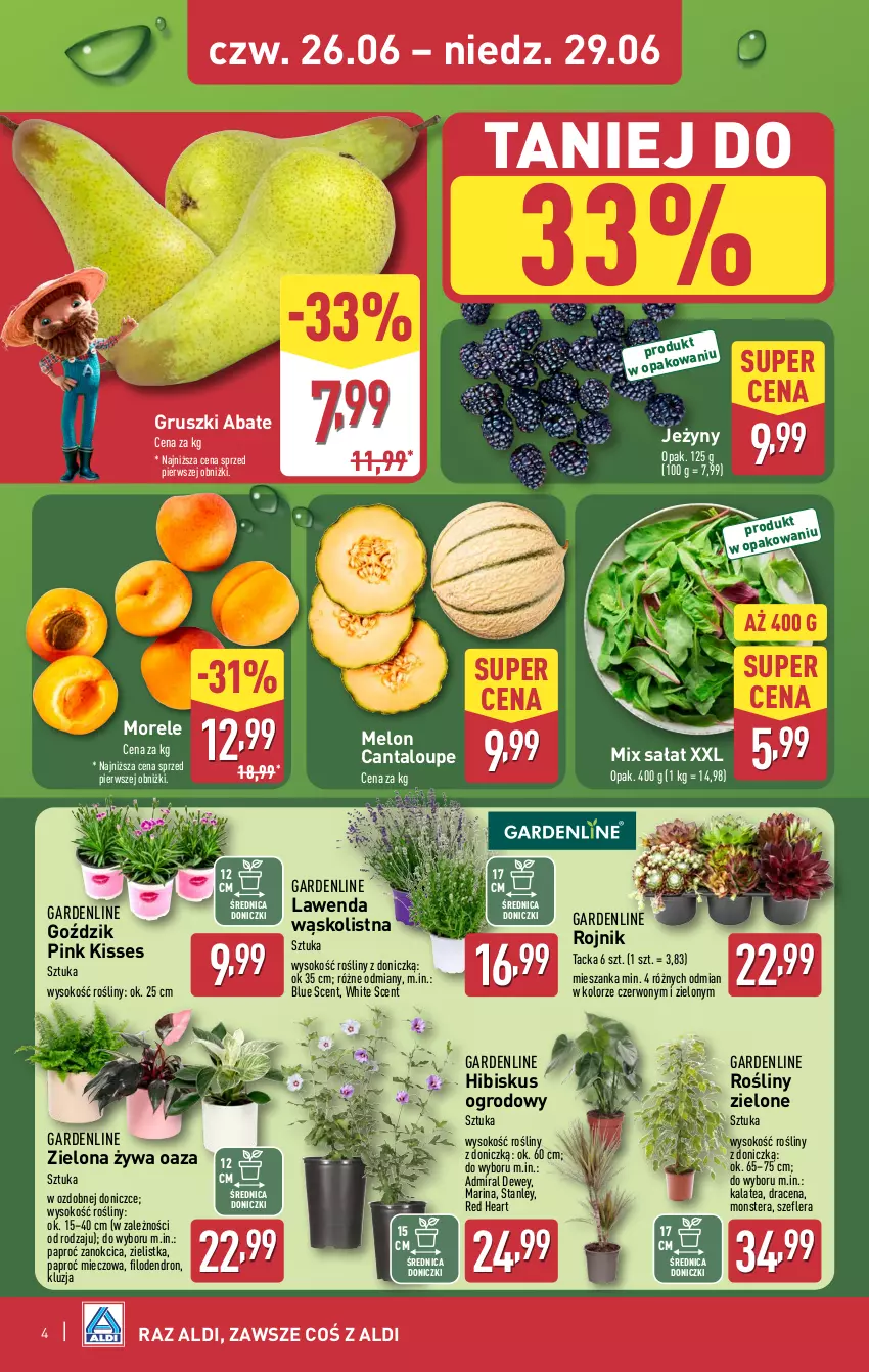 Gazetka promocyjna Aldi - Oferta weekendowa - ważna 26.06 do 29.06.2025 - strona 4 - produkty: Dron, Gruszki, Hibiskus, Jeżyny, Melon, Miecz, Sałat, Sok, Tera